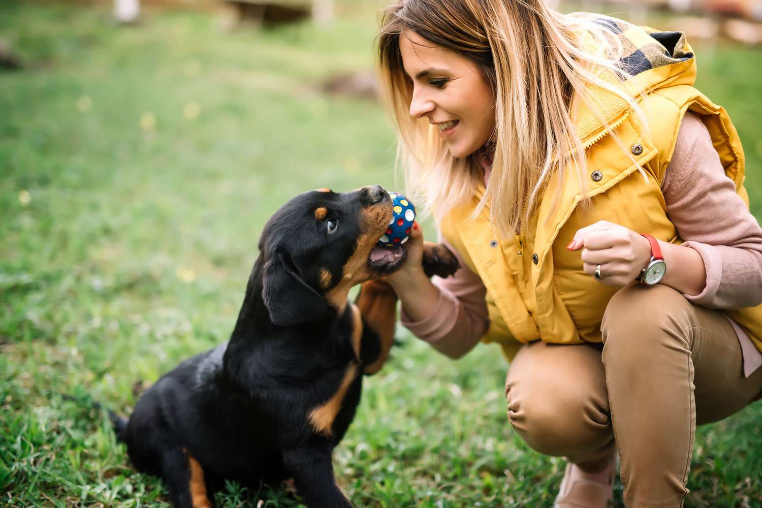 Animal Behavior Insights